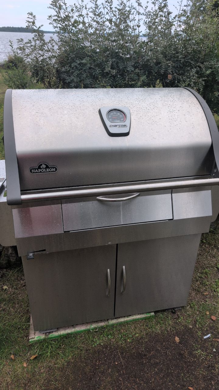 Napoleon Charcoal Professional grill i rostfritt stål